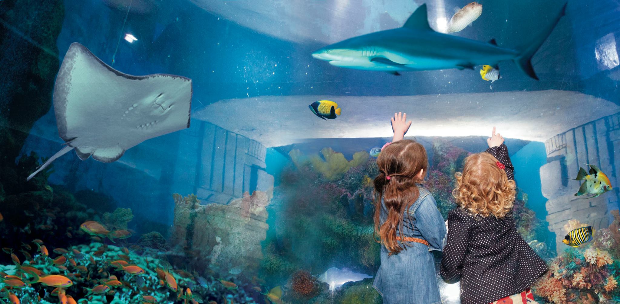 Summer 2019 at Blue Reef Tynemouth: What’s On? | Tynemouth Aquarium