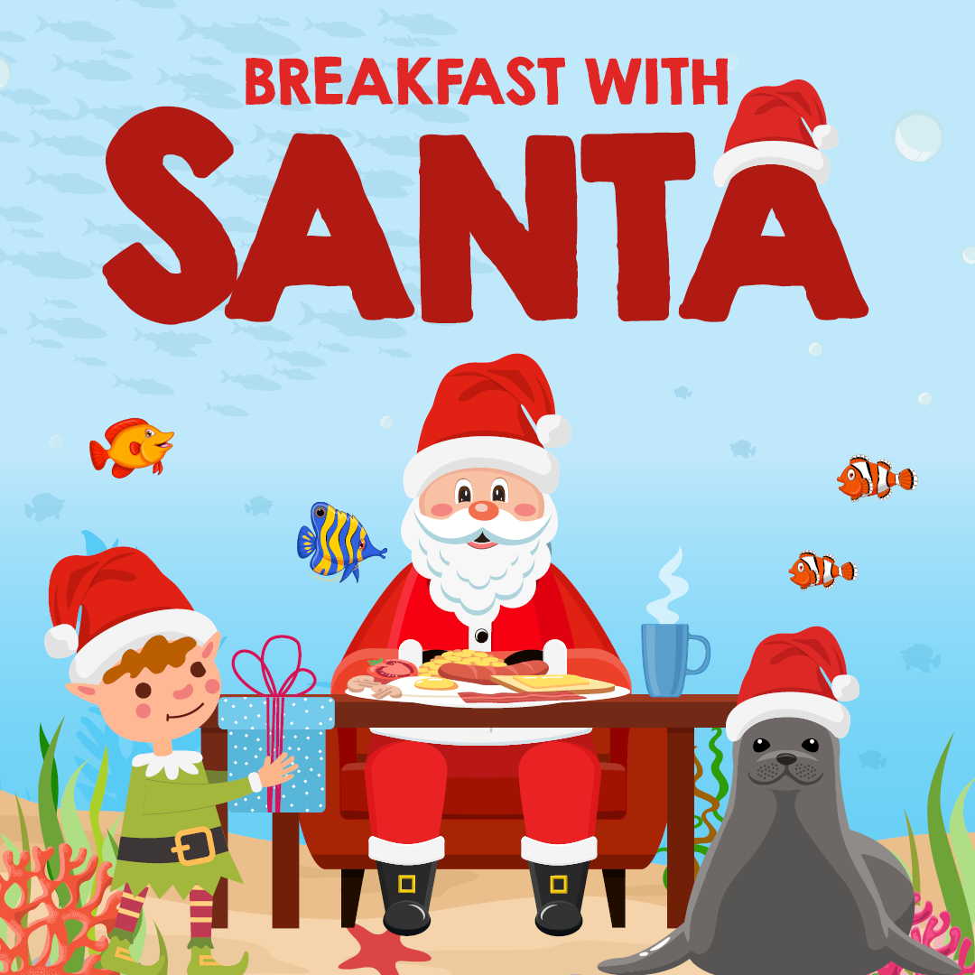 Breakfast with Santa! - Tynemouth Aquarium